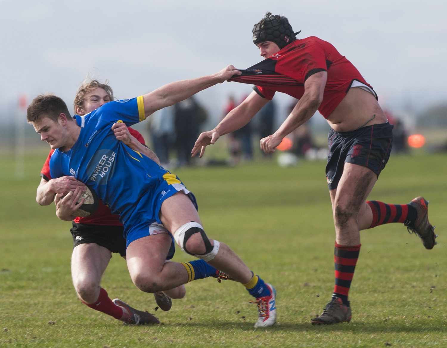 Elite Sport Rugby Action Shot - 3 players