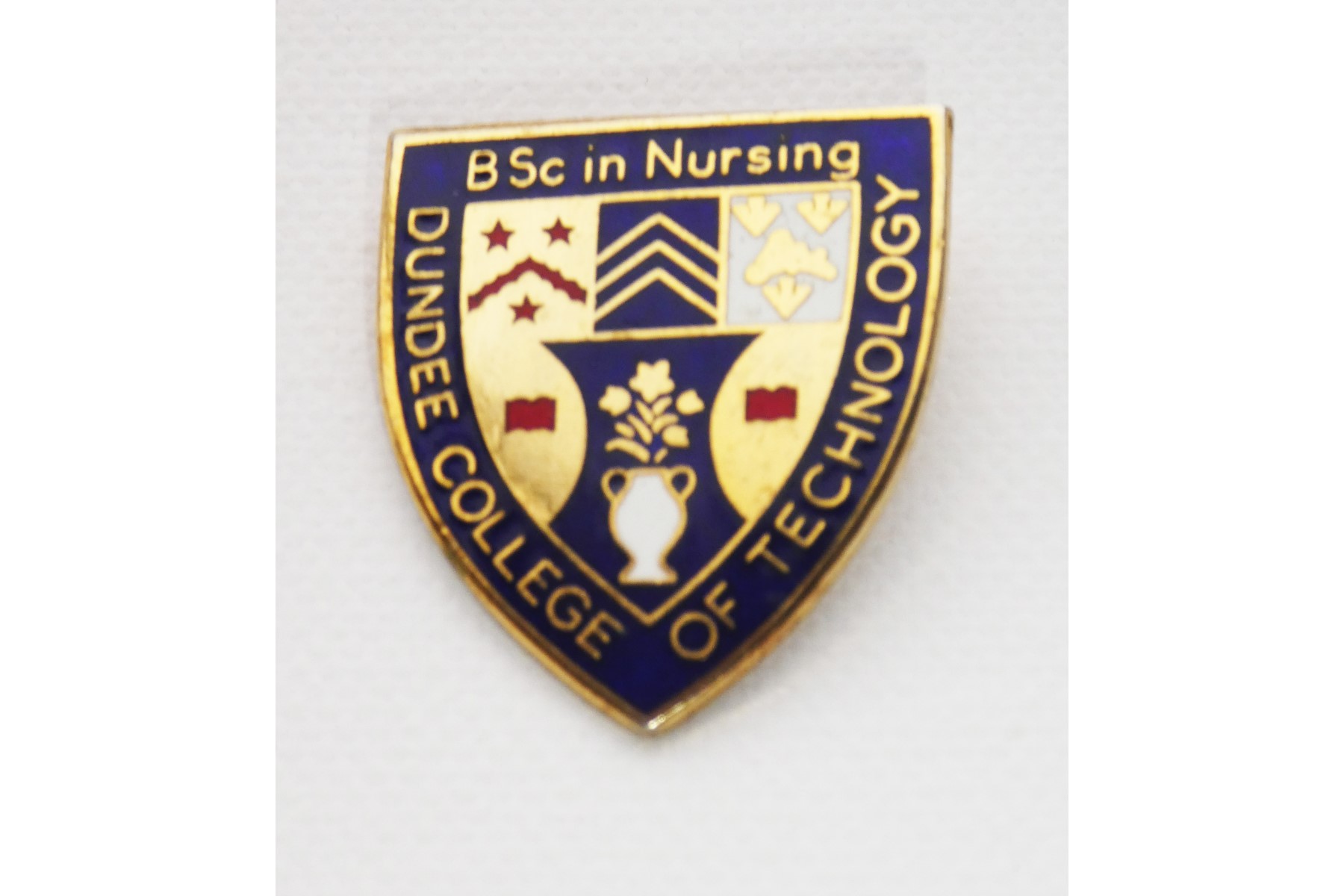 BSc Nursing - College Badge